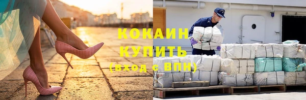 шишки Лабытнанги