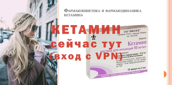 шишки Лабытнанги