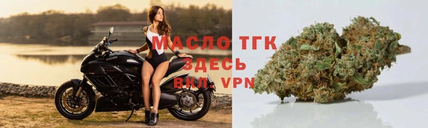шишки Лабытнанги