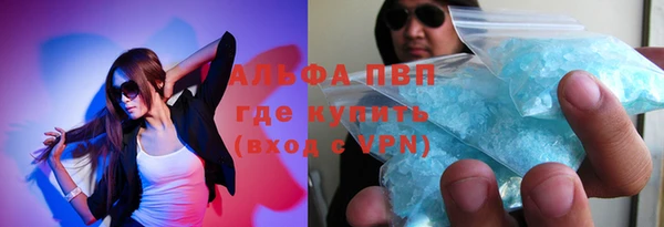 шишки Лабытнанги