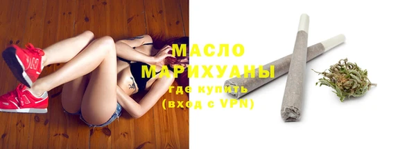 шишки Лабытнанги