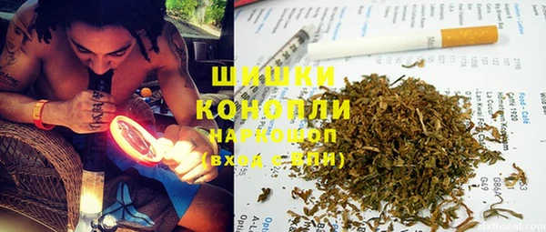 шишки Лабытнанги