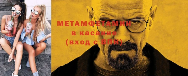 шишки Лабытнанги
