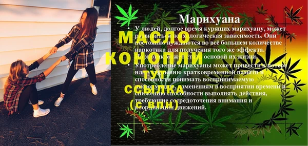 шишки Лабытнанги