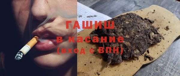 шишки Лабытнанги