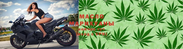 шишки Лабытнанги