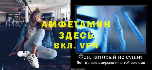 шишки Лабытнанги