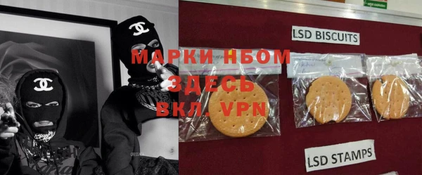 шишки Лабытнанги