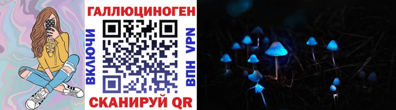 mega   Александровское  Галлюциногенные грибы MAGIC MUSHROOMS 